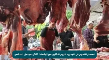 أسعار اللحوم في البحيرة اليوم الاثنين مع توقعات تتأثر بعوامل الطقس